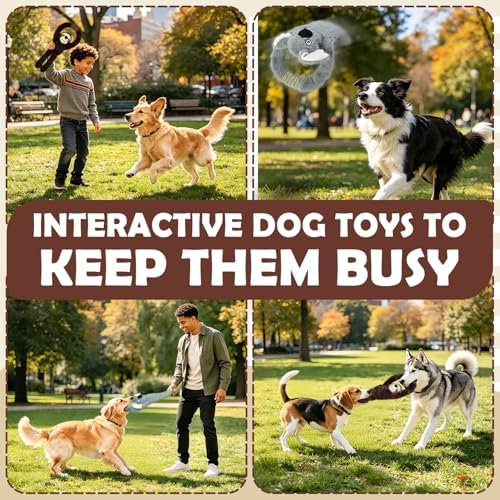No Stuffing 2-Pack Dog Toys, Squeaky Plush with Crinkle Toy for Medium Pets