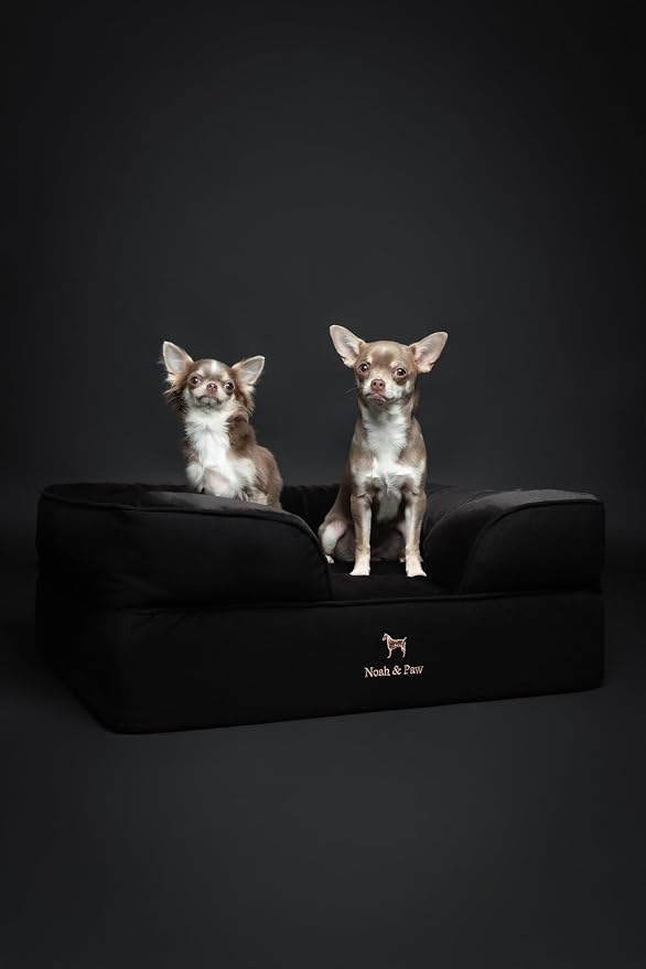 NOAH & PAW Dog Bed, 28x23x11 Inch, Orthopedic Dog Beds for Medium Size Pets, Eggshell Memory Foam Infused with Cooling Gel, Inner Cover, Water Resistant, Machine Washable (Denim Sofa Collection)