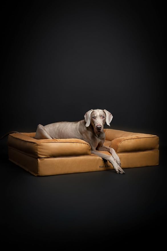 NOAH & PAW XL Dog Bed, 45x35x11 Inch, Orthopedic Large Dog Beds, Eggshell Memory Foam Infused with Cooling Gel, Inner Cover, Water Resistant, Machine Washable (Faux Leather)