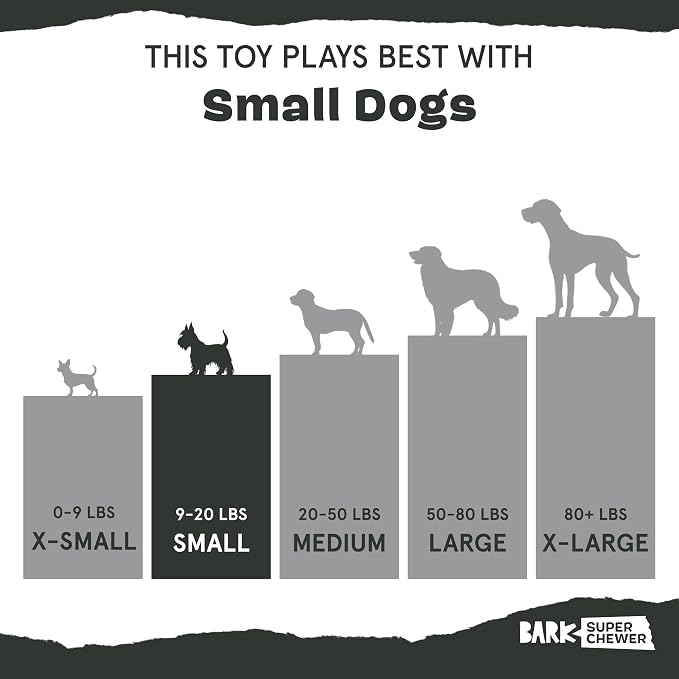 BarkBox Turkey Drumstick Super Chewer - Toy for Small Dogs | Durable Dog Toy for Aggressive Chewers - Chicken Scented Chew