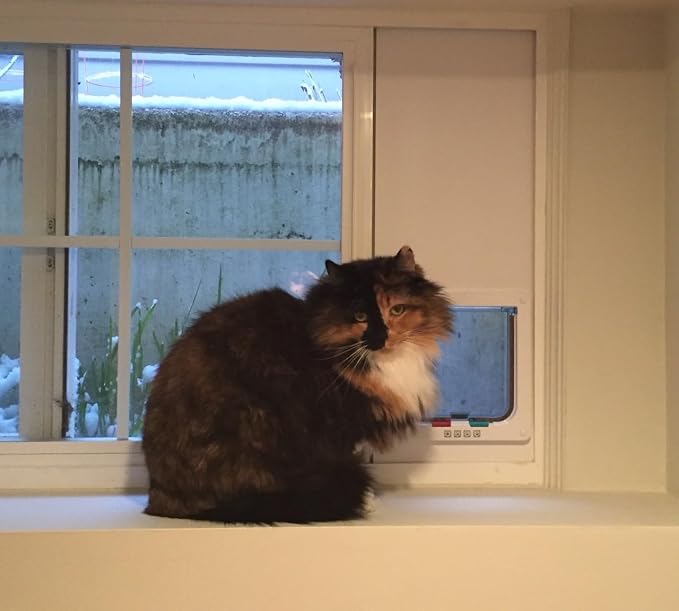 Custom Cat Door Window Insert - PVC Base | Insulated & Weather-Sealed | Tool-Free Install for Horizontal & Vertical Windows | Microchip Lock Options | Made in USA | Small Dogs & Pets
