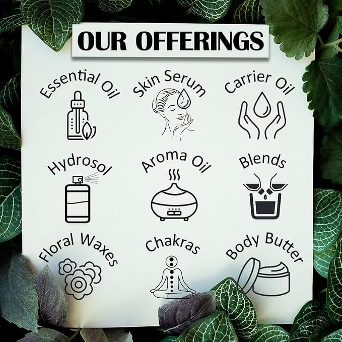 Greenwood Essential Pure Strawberry Seed Oil (Fragaria ananassa) with Glass Dropper 100% Natural Therapeutic Grade (Pack of Three) 100ml X 3 (10.1oz)