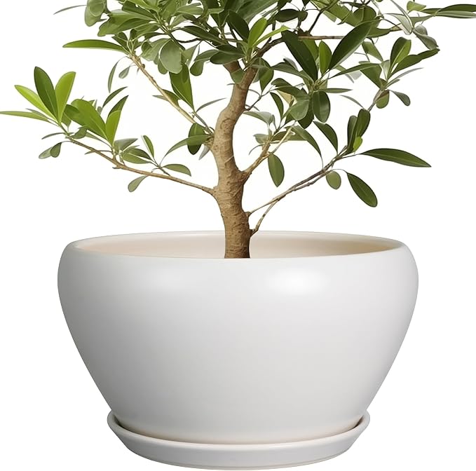 Ceramicfor Planter for Indoor Plants 13 Inch - Ceramic Plant Pot with Drainage Hole and Saucer Decorative Round Large Planter Pot for Plants Outdoor Flower Pot for Room Decor White
