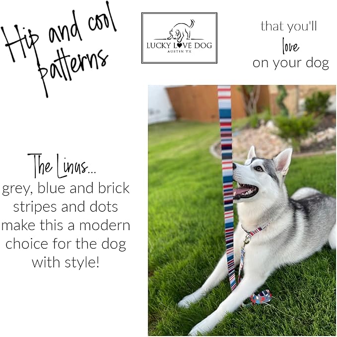 Lucky Love Dog Martingale Collar for Large Dogs No Slip Cute – Linus, Large