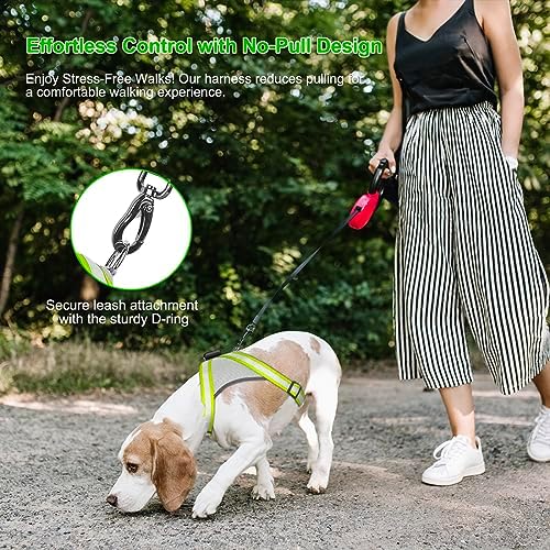 Visinite LED Dog Harness, USB Rechargeable Light Up Dog Vest, 2 Illuminate Modes Glow in The Dark Dog Harness, Adjustable Lighted Pet Harness Light for Night Walking Safety (Green, XL)