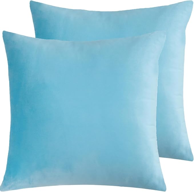 Velvet Decorative Throw Pillow Covers, Soft Square Cushion Case Home Decor for Living Room Couch Bed Sofa, Set of 2 Pack, Light Blue, 20x20 Inch