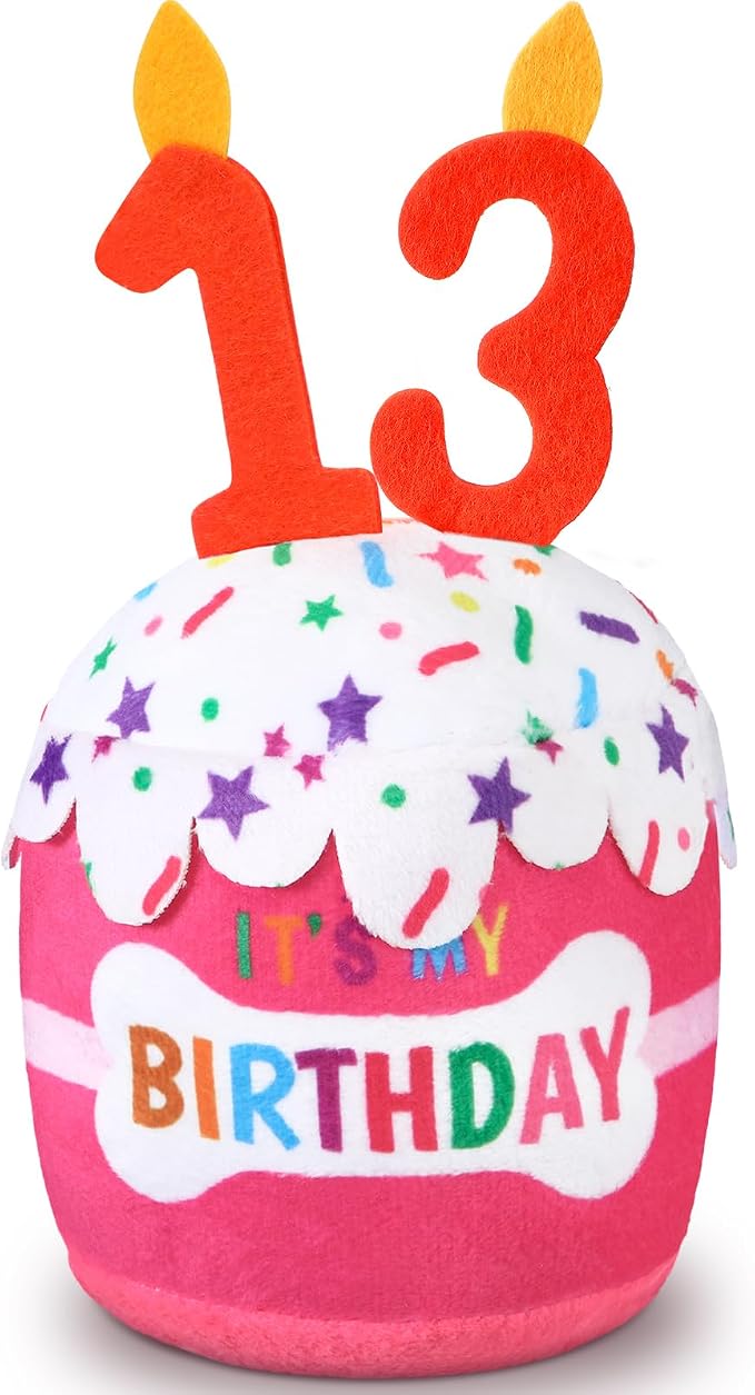 Dansydaisy Dog Birthday Cake Toy Squeaky Plush Gift,13th,Pink