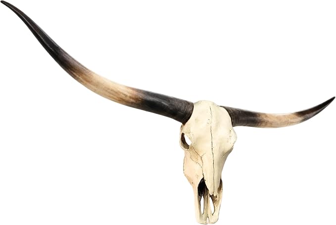 JUNTHORB 70in Longhorn Wall Decor, Extra Large Authentic Croissant，Cow Skull Wall Decor，cow horns, cow horn wall decoration, long horn skull，Handmade Farmhouse Decor