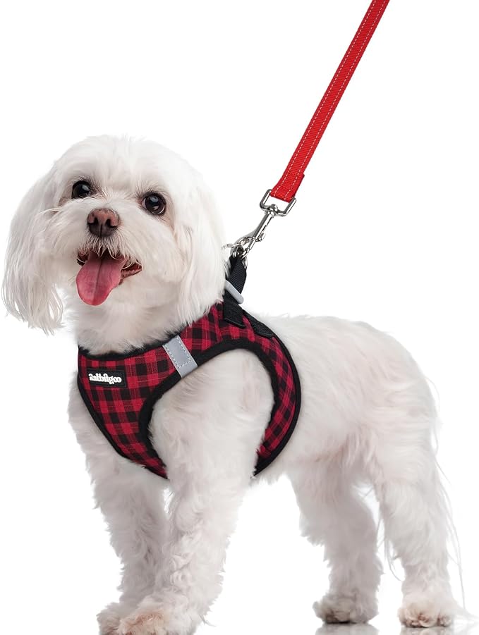 rabbitgoo Dog Harness Small Sized and Leash Set, Step-in Puppy Pet Vest | Light, Soft, Breathable Air Mesh, Easy on and Remove with Hook & Loop, Secure Reflective for Walking, Red Check M
