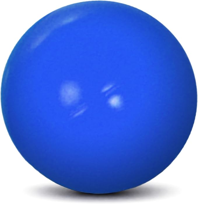Doggie Dooley Virtually Indestructible Dog Ball - 14 Inch Hard Plastic Interactive Dog Toy for Large Breeds Over 75+ lbs - Built for Herding & Push Play - Floats in Water, Made in USA - Blue