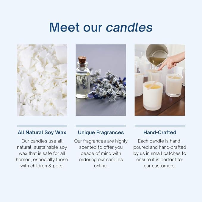 CE Craft Berry Mimosa Scented Candle - Fruity, Fresh Berry Scented Soy Candle, Scented Candles Gifts for Women and Men, Strong Non Toxic Soy Candles, All Natural Aromatherapy Candles