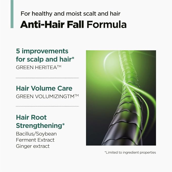 AMOS PROFESSIONAL The Green Tea Shampoo Refresh for Thinning Hair, Korean Shampoo for Oily Scalp l Deep Cleans, Strengthening Hair, All Hair Types, 16.9 fl. oz.