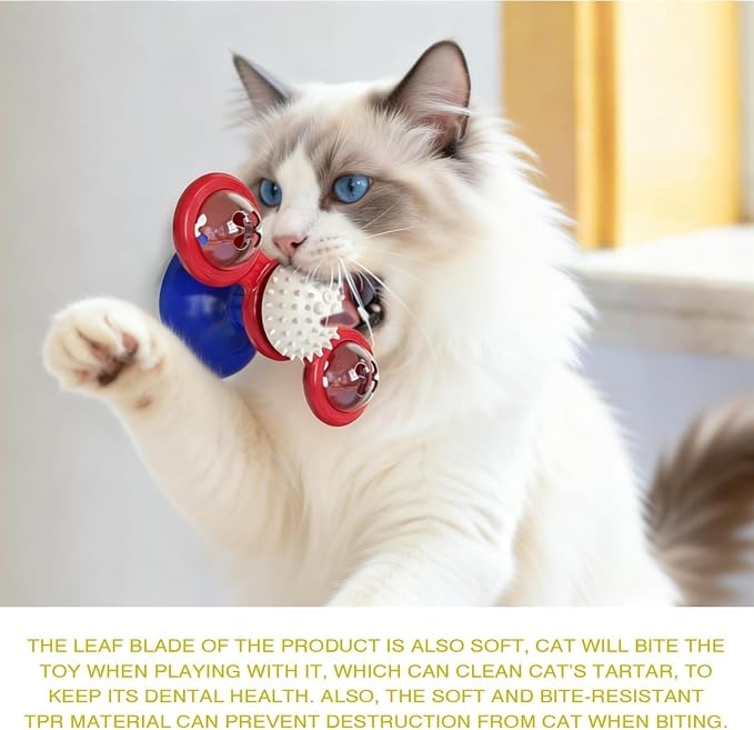 Interactive Cat Toys & Treat Dispenser with Catnip Ball (Aqua)