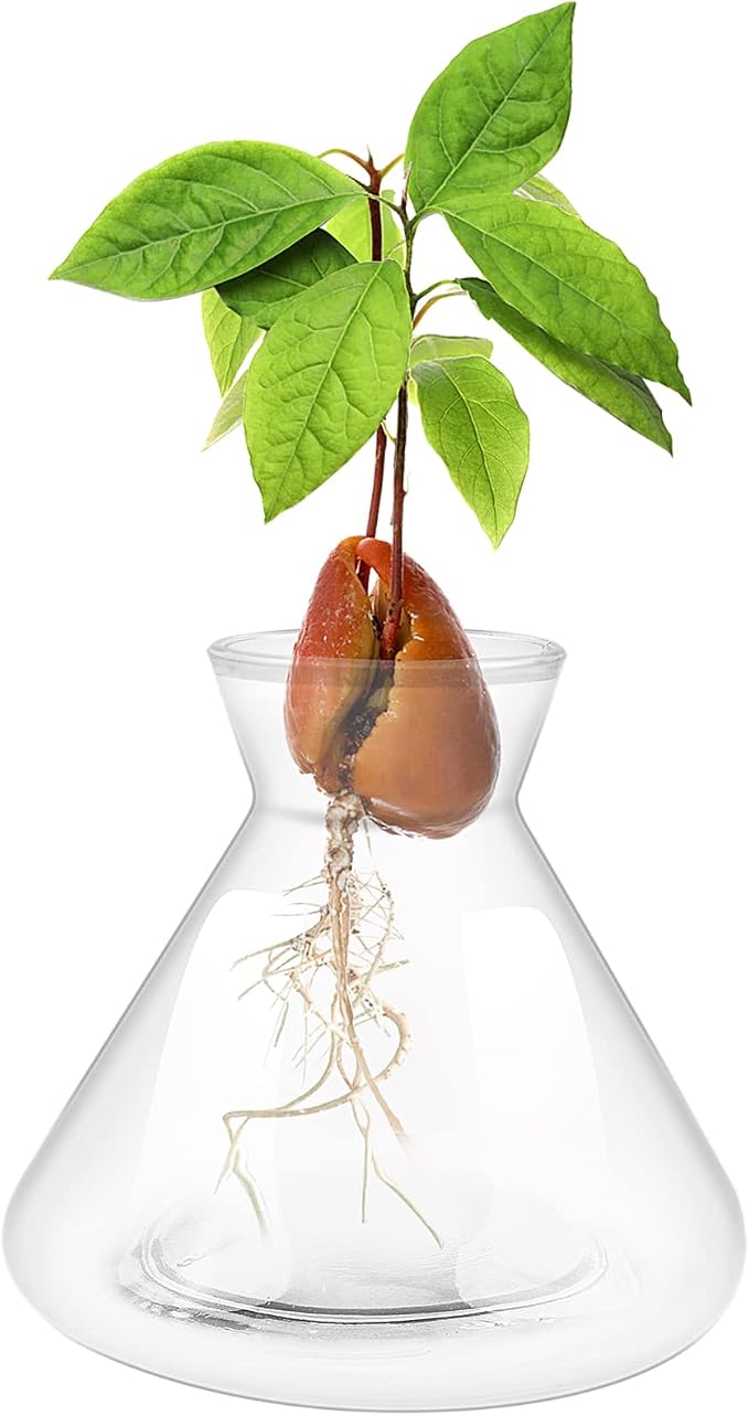 1 PCS Avocado Seed Starter Vases, Pit Planter Pot Avocado Tree Growing Kit Acorn Bulb Vase Grow Glass Blue Hydroponics Container for Gardening Lover