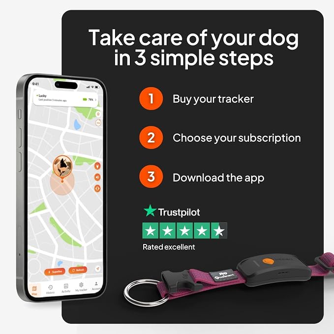 Weenect Dog XT - NEW GPS Collar for Dogs | XL Antenna | Waterproof | Ultra-Durable Integrated Julius-K9 Collar | Subscription Required