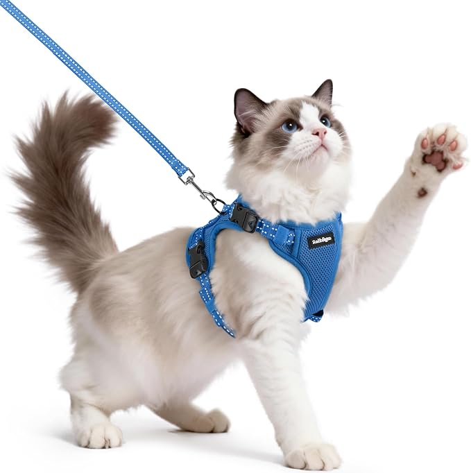 rabbitgoo Cat Harness and Leash, Easy-on with Neck Buckle, Royal Blue