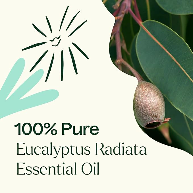 Plant Therapy Eucalyptus Radiata Essential Oil 10 mL (1/3 oz), 100% Pure, Undiluted, for Aromatherapy, Respiratory Support & Focus