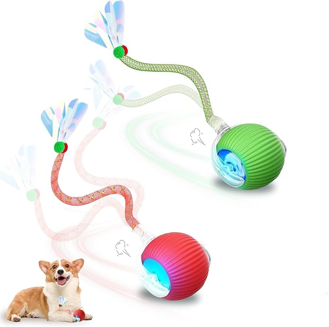 Upgrade 2pcs Innovative Interactive Cat Toy Balls, Automatic Moving Spheres for Cats (Dragonfly)