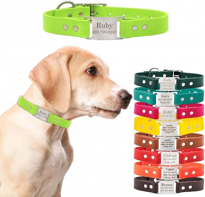 dogIDs Personalized Dog Collar – ScruffTag Custom Waterproof Biothane Dog Collar with Laser-Engraved Name, Durable & Odor-Resistant – USA Made | Margarita, 1 in x 20 in (Fits Neck Sizes 18-22 in)