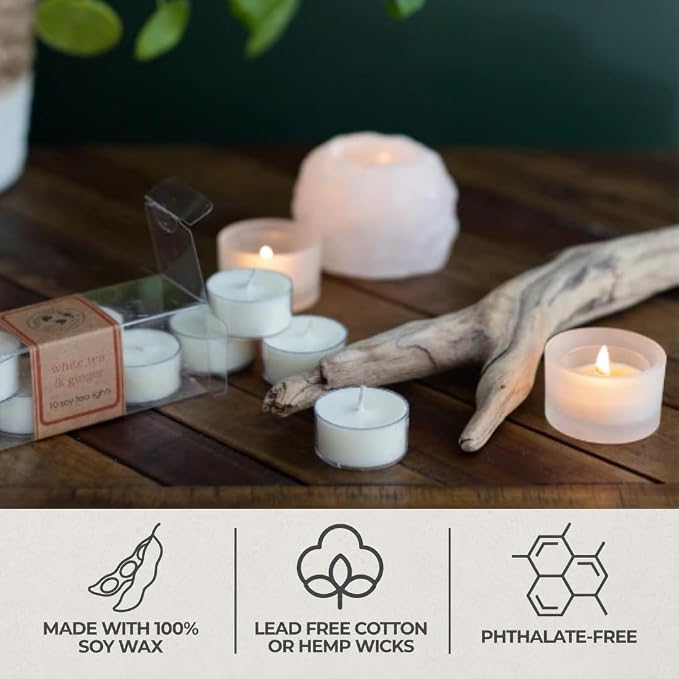 Eco Candle Co. Cupcake Tea Light Candles, 10-Pack, 9 Hr Burn Time | Scents of Yellow Cake & Icing - Recyclable Plastic Cups, No Lead, Hand Poured, Made from Midwest Grown Soybeans, .6 oz. Each