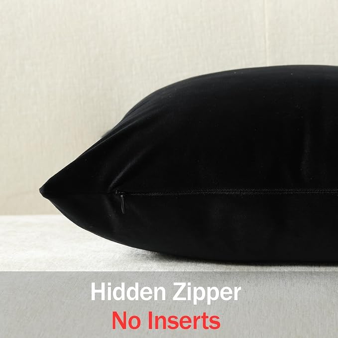 Lumbar Pillow Covers 12x20 Black: Pack of 2 Cozy Soft Velvet Rectangular Modern Luxury Decorative Throw Pillow Cases for Sofa Couch Living Room Bed Home Decor
