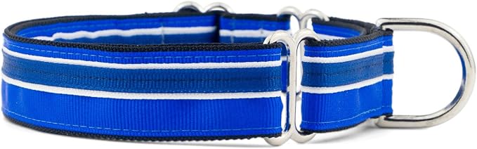 If It Barks 1" Martingale Collar for Dogs, Adjustable Nylon, USA Made,Blueberry,Small (11" - 15")
