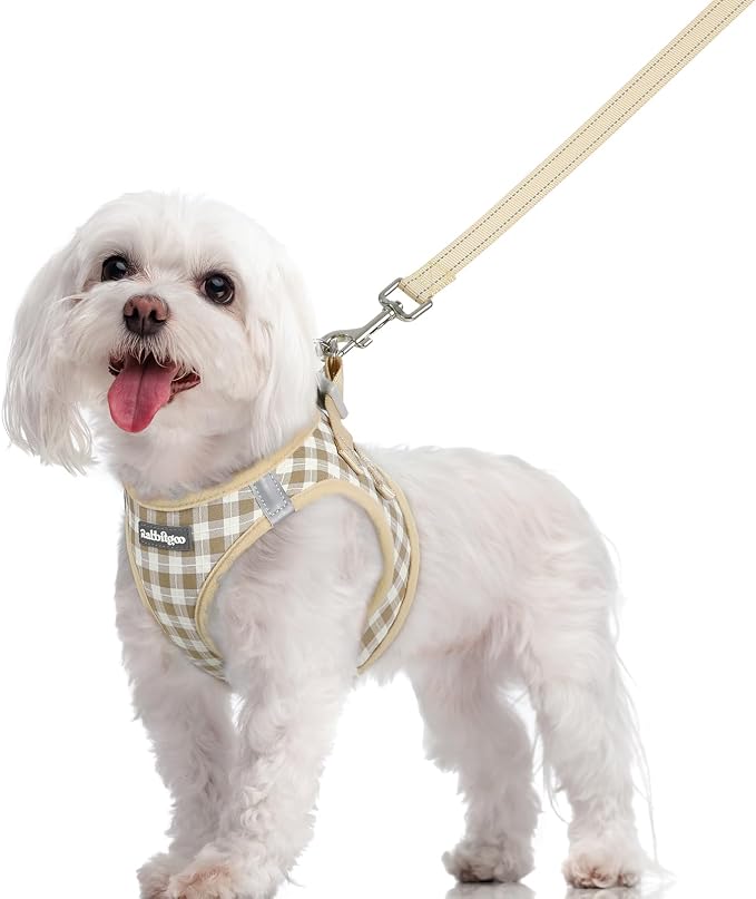 rabbitgoo Dog Harness Small Sized and Leash Set, Step-in Puppy Pet Vest | Light, Soft, Breathable Air Mesh, Easy on and Remove with Hook & Loop, Secure Reflective for Walking, Beige Check M