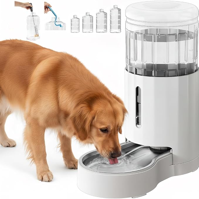CZPET Automatic 8L Dog and Cat Water Dispenser Gravity Waterer | With Stainless Steel Bowl Gravity Waterer, Large Capacity and Drinking Area Noise-Free for Pets