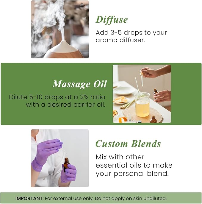 Handcraft Blends Crisp & Focused Set: Rosemary and Spearmint Essential Oils – (2 x 4 Fl Oz) – 100% Pure & Natural – for Diffuser, Aromatherapy, and DIY Projects