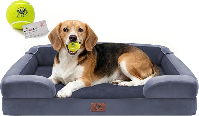 Waterproof Orthopedic Dog Bed for Medium Large Sized Dogs | Memory Foam Pet Bed Sofa with Bolster, Dog Couch with Washable Cover & Non-Slip Bottom, 36x27 Inch, Dark Grey