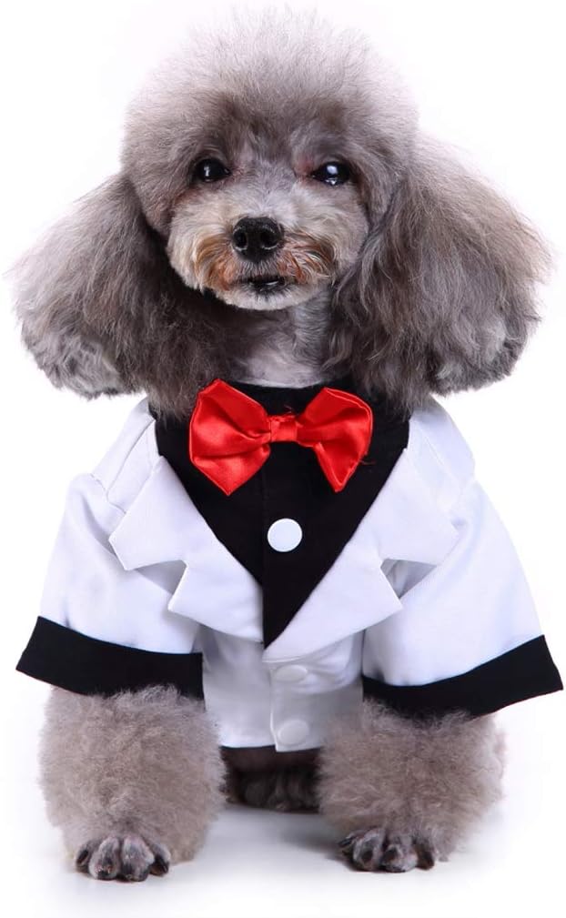 GabeFish Pets Wedding Jackets Suit for Dogs with Bow Tie Puppy Cat Formal Clothes Shirt Tuxedo (White, S (Chest 12.9in/33cm)