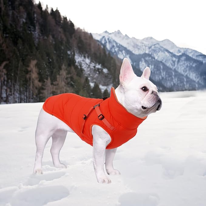 Geyecete Winter Warm Coat Waterproof Dog Winter Jacket with Harness Traction Belt,Windproof Pet Outdoor Jacket Dog Autumn-Orange-XXL