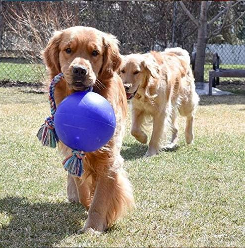 Jolly Pets Romp-N-Roll Rope & Ball Dog Toy, 8 in Large, Blue