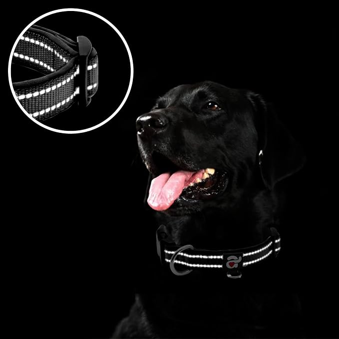 azuza Reflective Dog Collar, Neoprene Padded Medium Dog Collar, Black, M