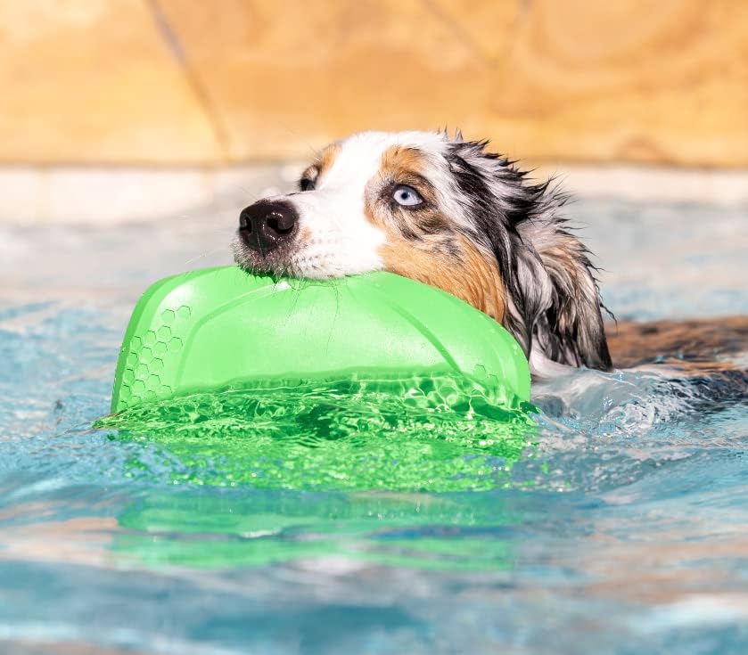 PROJECT HIVE ·PET COMPANY· Dog disc - Great for Fetch - Includes a Lick mat on Back - Floats in Water, Smooth Glide - Made in The USA (Tropical Coconut)
