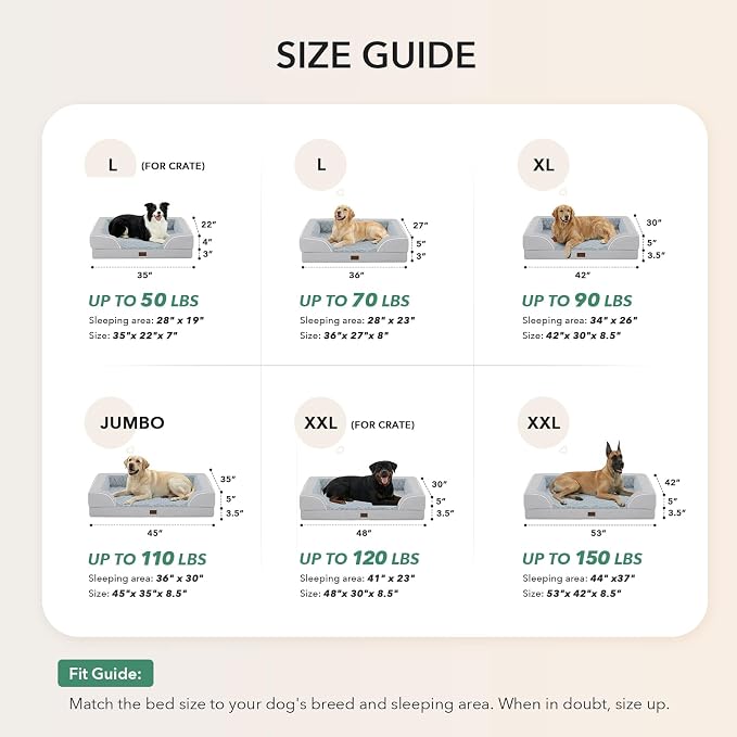 Orthopedic Washable Dog Bed for Medium Dogs, 35x22in, Light Grey | Orthopedic Foam Eases Joint Pressure, Bolsters Supports Head And Neck, Washable Pet Beds, Removable Cover, Non-Slip Bottom