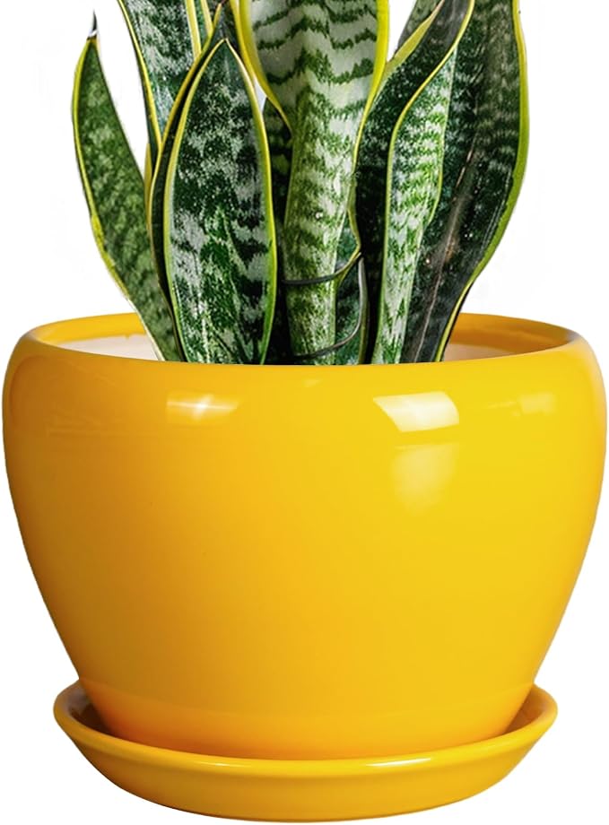 Ceramicfor 8 Inch Plant Pot - Glaze Modern Round Ceramic Planter for Indoor Outdoor Plants with Drainage Hole and Saucer for Home Patio Room Office Decor, Yellow