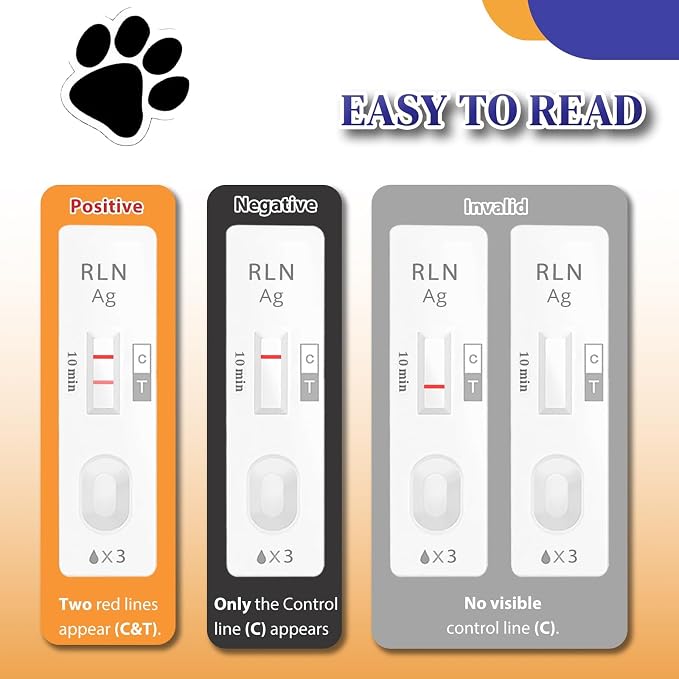 Home Pregnancy Test for Dog and Cat