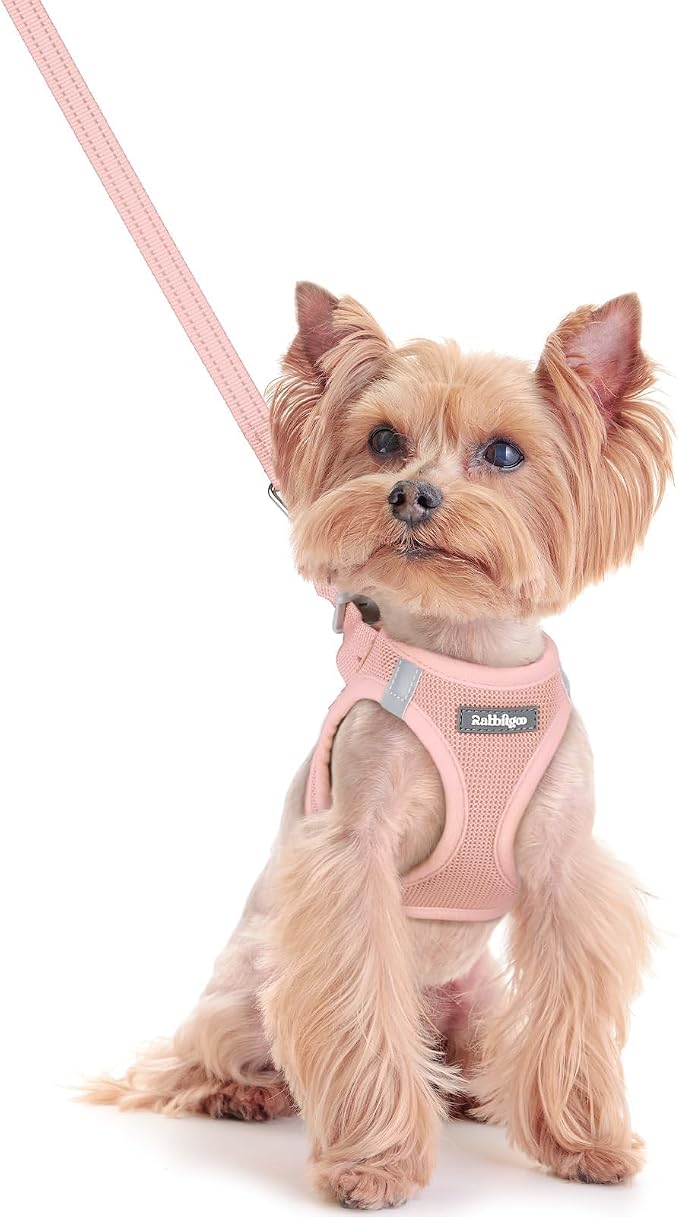 rabbitgoo Dog Harness Small Sized and Leash Set, Step-in Puppy Pet Vest | Light, Soft, Breathable Air Mesh, Easy on and Remove with Hook & Loop, Secure Reflective for Walking, Pink XXS