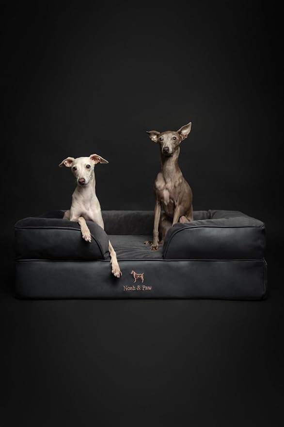 NOAH & PAW Large Dog Bed, 35x25x11 Inch, Orthopedic Dog Beds, Eggshell Memory Foam Infused with Cooling Gel, Inner Cover, Water Resistant, Machine Washable (Faux Leather)