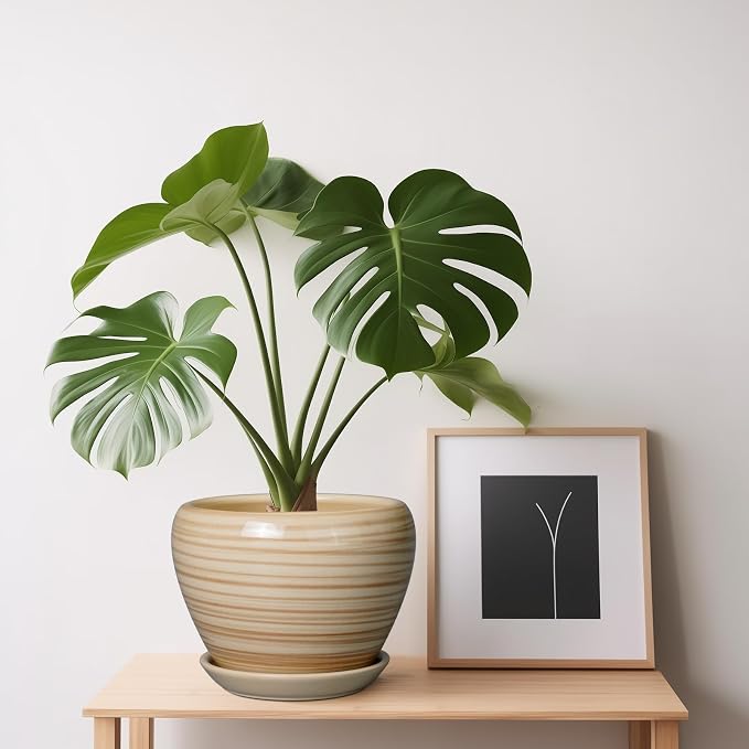 Ceramicfor 6 Inch Plant Pot Ceramic - Decorative Planter for Indoor Plants Succulent Pot with Drainage Hole and Saucer Round Planter Outdoor Flower Pot for House Patio Yellow