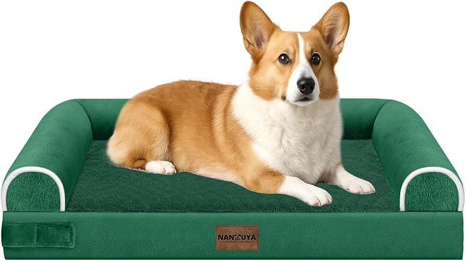 Orthopedic Dog Bed for Medium Dogs, 30 x 20 Inch, Emerald | Egg crate foam for joint support, 3-sided bolster pet sofa, waterproof lining, washable cover, and non-skid base
