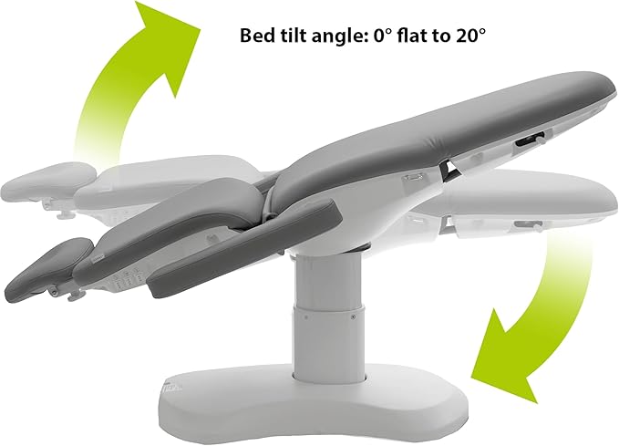 SKINACT Madison Electric Spa Facial Treatment Chair/Table (Gray)