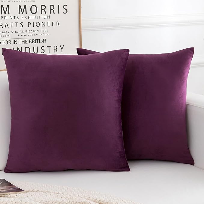 Velvet Decorative Throw Pillow Covers, Soft Square Cushion Case Home Decor for Living Room Couch Bed Sofa, Set of 2 Pack, Eggplant Purple, 16x16 Inch