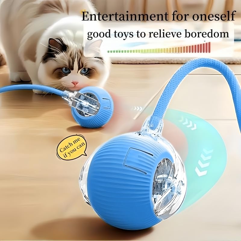 Nicoybore pet toy ball, USB charging, automatic standby, made of durable materials, providing interactive entertainment for cats and dogs. Luminous sphere attracts pets to chase after (1, blue)