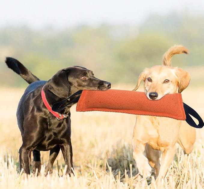 Clysoru Dog Tug Toy Double Pack Tough Jute Bite Pillow Training Equipment Puppy to Large Dogs Interactive