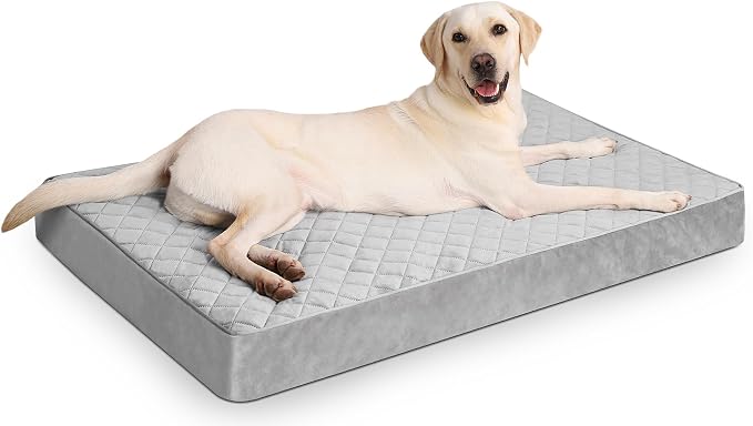 NUPIDA Orthopedic Jumbo Dog Bed for Crate with Washable Cover, 53x36, Grey | Egg-Crate Foam, Cozy Velvet Pet Mattress, TPU Waterproof Layer, Comfy Support, Anti-Slip Base Extra Large Breeds up to 150lbs