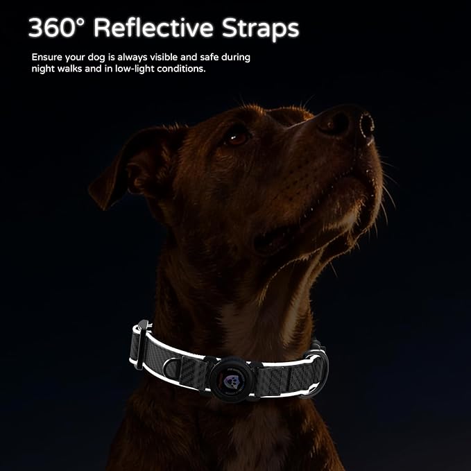Leather AirTag Dog Collar, Magnetic Buckle, Reflective, C-Black M
