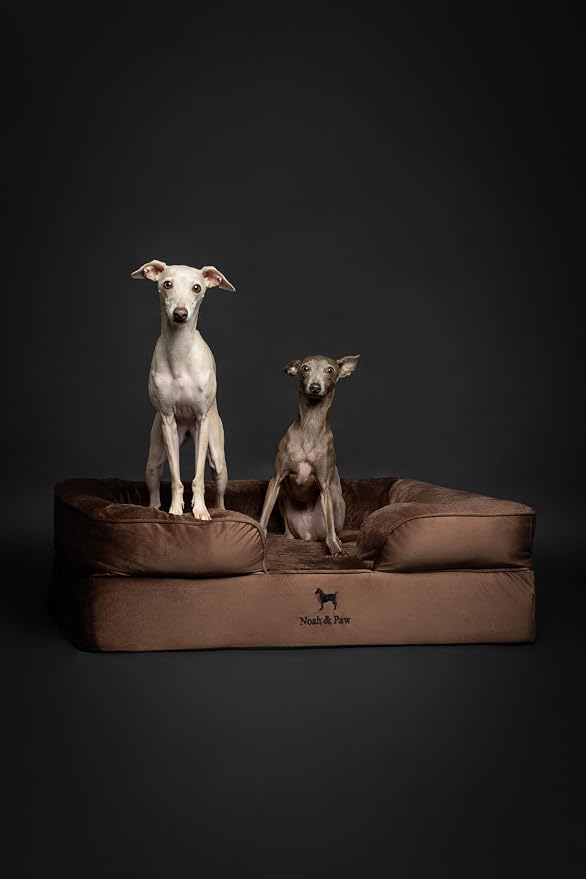 NOAH & PAW Large Dog Bed, 35x25x11 Inch, Orthopedic Dog Beds, Eggshell Memory Foam Infused with Cooling Gel, Inner Cover, Water Resistant, Machine Washable (Velvet Sofa Collection)