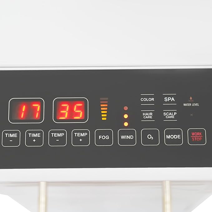 110V 600W Nano Hair Steamer Machine, Professional Micro Mist Salon Hair Processor, Salon Spa Equipment Vertical Nano Hair Steamer for Deep Hair Care Repair, Hair Styling